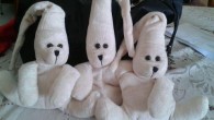 foto peluche sleepy